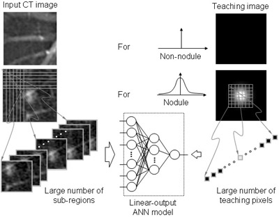 Computerized Detection of Lung Nodules in Low-Dose CT, Part I: Basic Principle of Massive-Training Artificial Neural Network (MTANN) for Reduction of False Positives